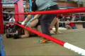 MMA fight