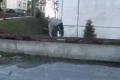 Little Parkour