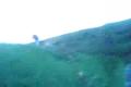parkour