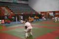 Judo-Morote Gari