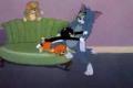 tom a jerry