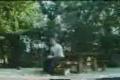 Celkem haluz videjko