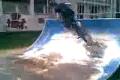 kamos na bmx