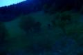 airsoft