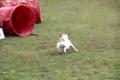 jumping