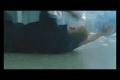 Prison Break death