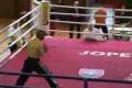 kick box kamosi