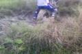 ,,bahno,,