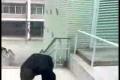 le parkour