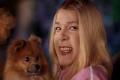white chicks - a thousand miles