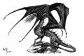 Black Dragons and Werewolves