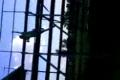 Hradistsky parkour:D