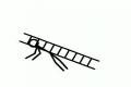 stickman a rebrík