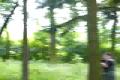 airsoft