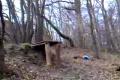 downhill-freeride