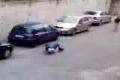 Kamošove Video