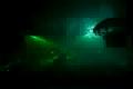 laser show white sensation - prahs