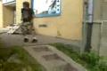 Parkour