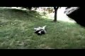Parkour Nitra