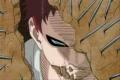 Garra Web