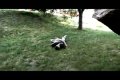 Parkour Nitra