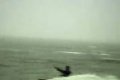 AndAwayHeWent-1