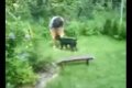 Fredy-agility