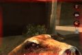 Postal2