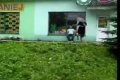 Crash Parkour