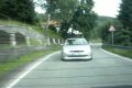 sedlovo fícus