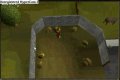 Hitman 1151 in crafting guild :D