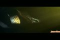 Need for Speed Undercover Trailer