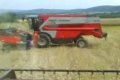 Massey Ferguson