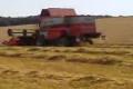 Massey Ferguson 1