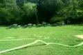 Dhz Stefultov trening  3.8.08