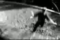 le parkour