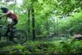 Kupelsky freeride 2