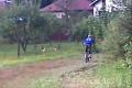 *BALOG Bikers*