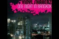 Vinylshakerz - One Night In Bangkok( Club Mix)