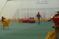 MSR jumping nedela