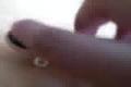 Fingerboarding 2