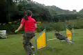 Timy agility