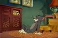 Tom&Jerry 11