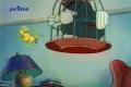 Tom&Jerry 16