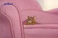 Tom&Jerry 24