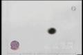 Osem krát nafilmovaný neidentifikovaný lietajúci objekt UFO nad mestom Miláno v Taliansku. Film číslo 3/8: 20. júl 2004.
