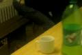 "triezvy" HOLUB :-)