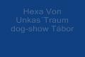 Výstava Hexa Von unkas´Traum
