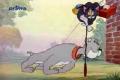 Tom&Jerry 42