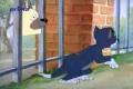 Tom&Jerry 60